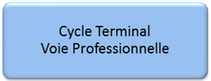 Cycle Terminal Voie professionnelle